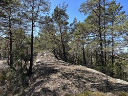 Vest for Svarthølet