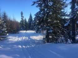 Birger-Runden Trimpost