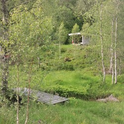 Gapahuk i Stavsdalen