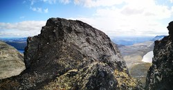 Sørvestre Kvitskardoksle