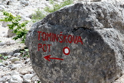 Tominškova pot