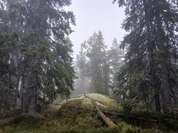 S2 for Prestbråteberget