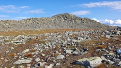 Storeskardnøse Øst