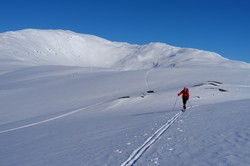 Krutfjellet