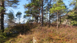 Snaufjellet, SØ
