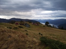 Utitunsstøylen