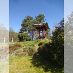 Norsk Koreansk Kultursenter