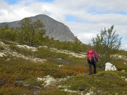 Vesle Dørålsglupkollen