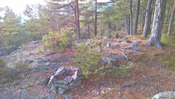 Sørøst for Presthøgås