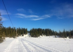 Leksvik Skisenter-Lysløypa