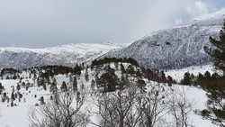 Toresletthaugan øst