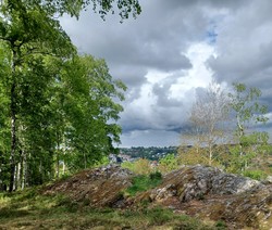 Rødsberget