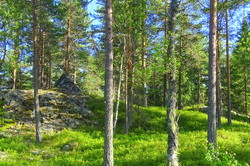 Krokstadkollen