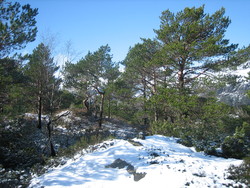 Husafjellet