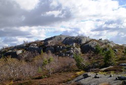 Vardefjell i Evje og Hornnes