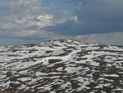 Aust for Steinheinuten