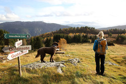 Tursti Breidesete - Honsete