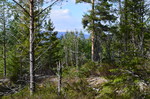 Trengsåsen