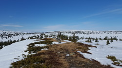 Aksjøråket, punkt 944