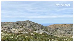 Nordfjellet