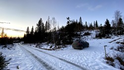 Bokkhåmmårn P-lomme