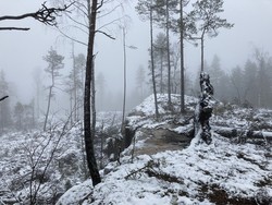 Gullsmedåsen