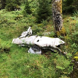 Tysk flyvinge fra 1942