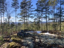 Nordvest for Fugleleiken