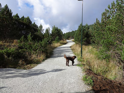 Tursti Heid - Hornseten Normalruta