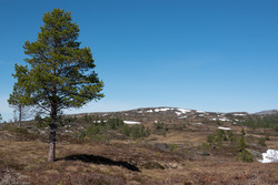 Litlfjellet