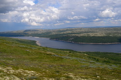 Flomhøgda