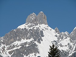 Kleine Bischofsmütze