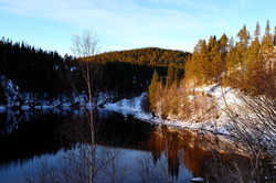 Klauvsjøåsen