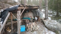 Langgangsmyra gapahuk