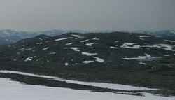 Vest for Svortjørne