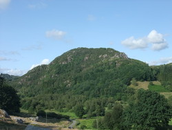 Kjertåsen