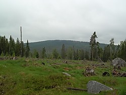 Flisberget