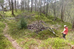 Fjeldborg (ruin), Kanadaskogen