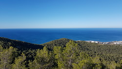 Puig de sant Antoni