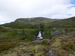 Tursti Ugladalen - Vetla Hongi