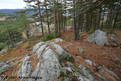 Gjellberget