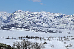 Den lange haugen austmed vatnet