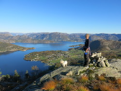 Aust for Husalifjellet