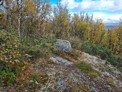 Ytre Liomseæterhaugen