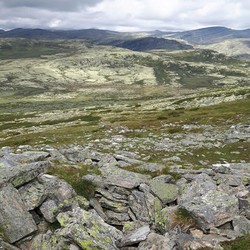 Fangstgrop Formokampen