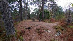 Grønhaugen i Siljustølskogen