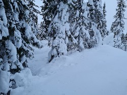 Demmtjernet punkt 784