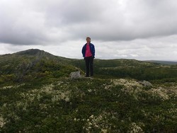 Nord for Hjellhøgda