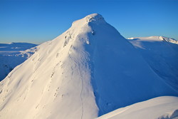 Fjellstølsnipa