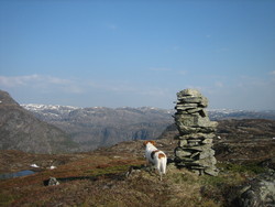 Vardefjellet 513 m i Masfjorden